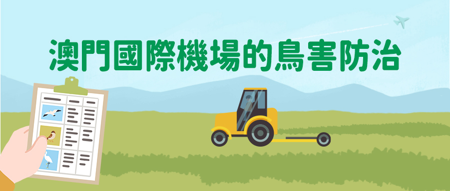 特區政府與機場如何進行鳥害防治?