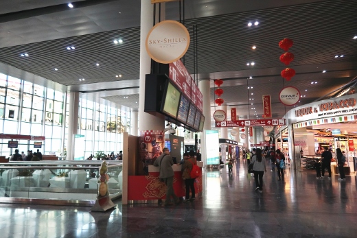 2017 CNY extra and charter flights 25.01.17 news photo (520x347).jpg